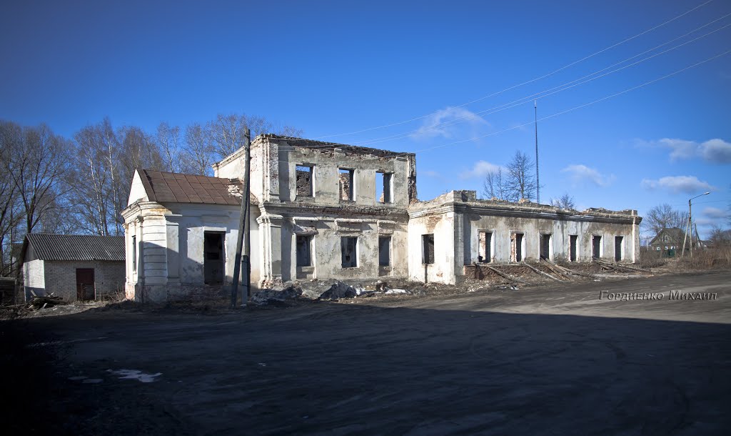 Богородицкая церковь села Семеновского-Лапотного. Костромская область. Островский район. Островское.