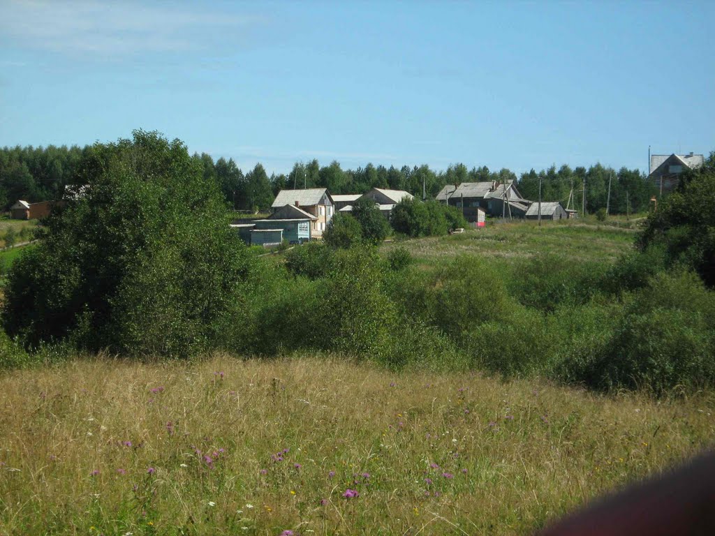 Павино