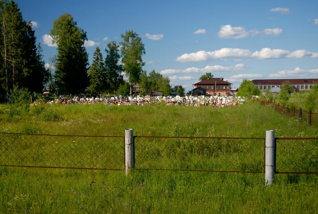 A cemetery in Soligalich