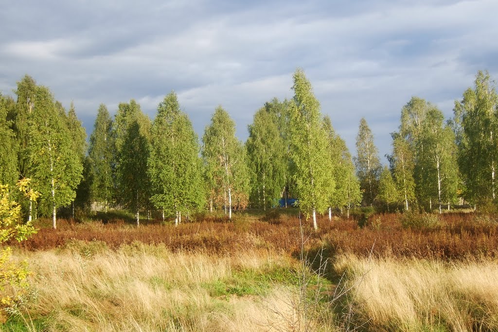 Осень на пороге, Autumn comes