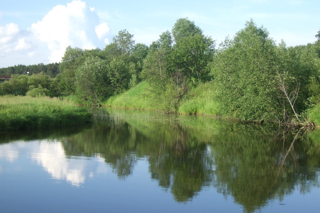 Сидориха. Sidorikha. The mouth of Svyatitsa river.
