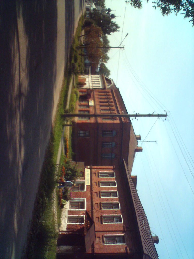 п. Сусанино, центральная улица.