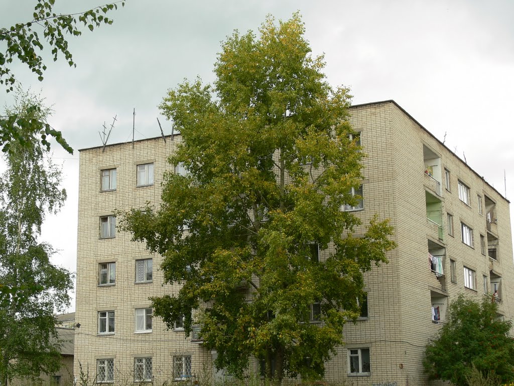Общежитие швейников