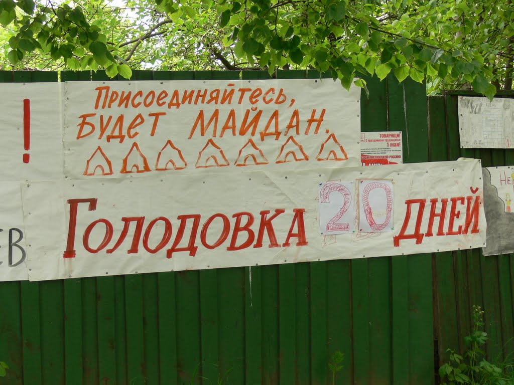 Шарья бунтарская, 5