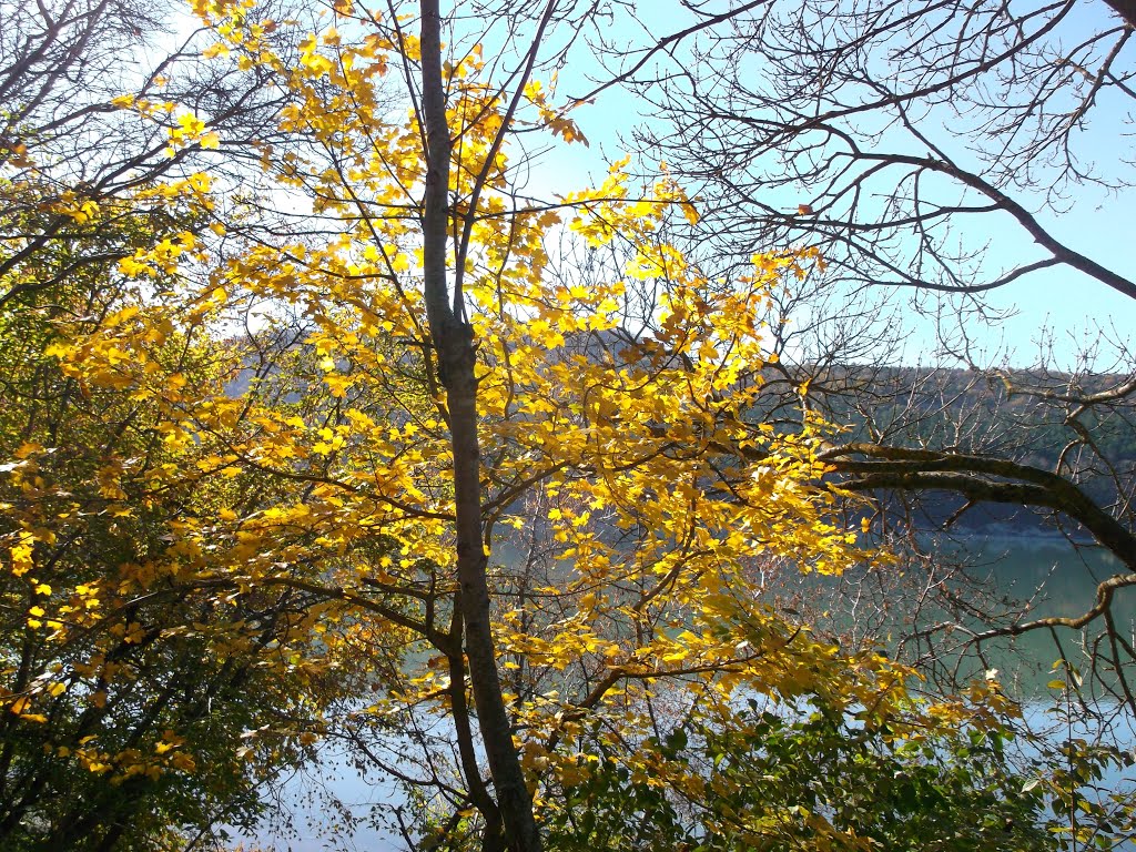 Осень в Абрау / Autumn on lake Abrau
