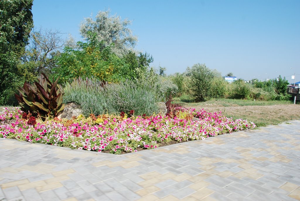 Клумбник
