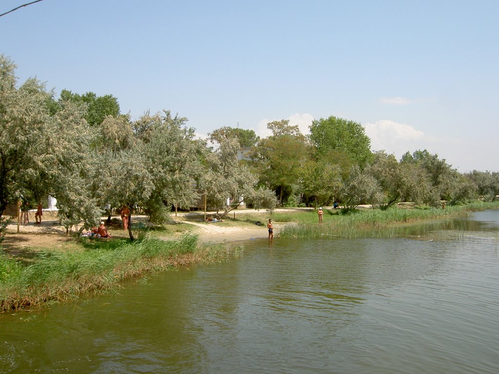 08.2007