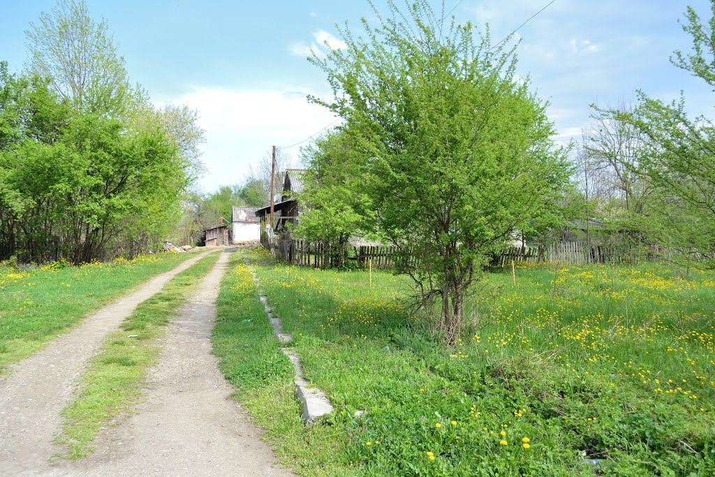 Весна пришла / Spring