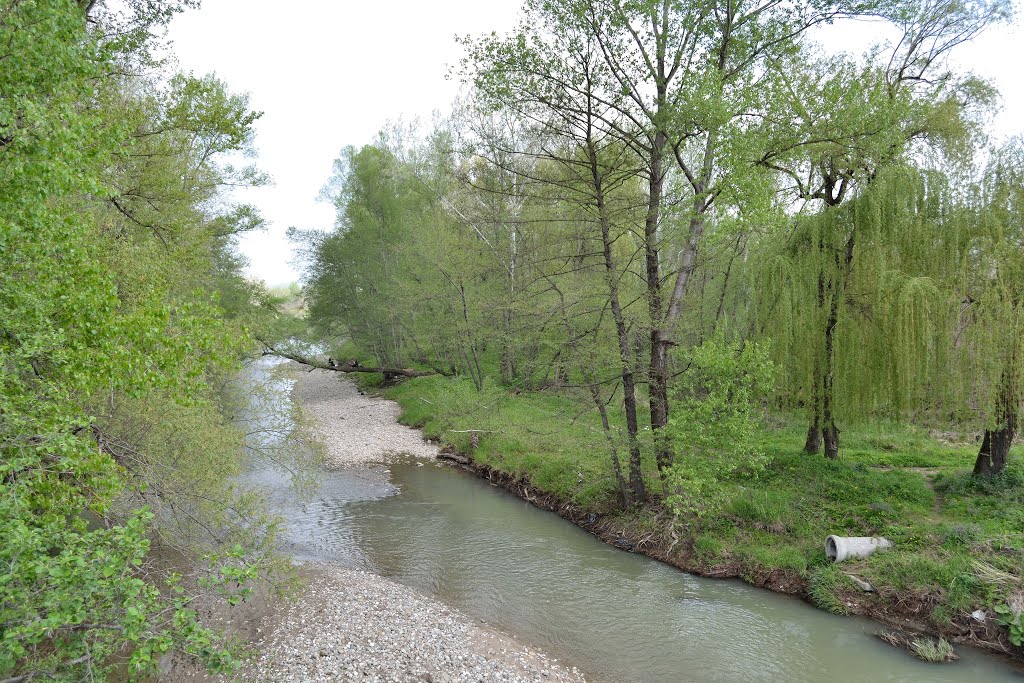 Река Туха / Tukha river