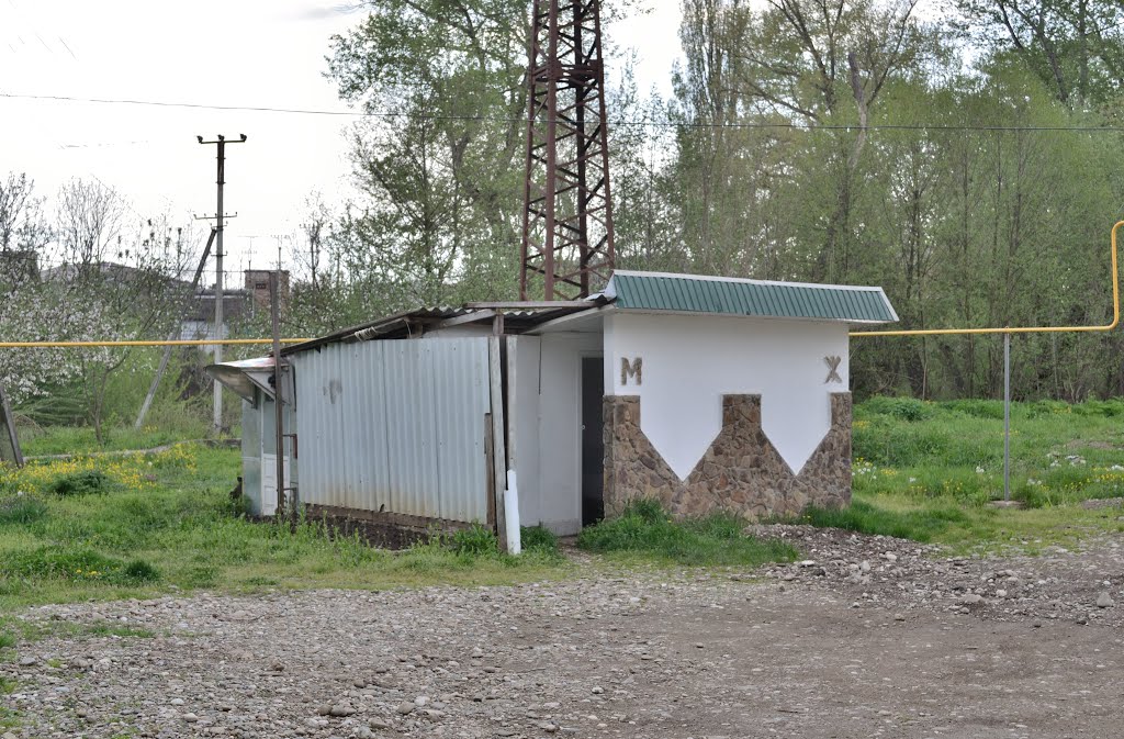 Бесплатный туалет / The toilet