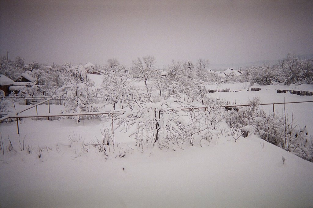 Winter in Apsheronsk