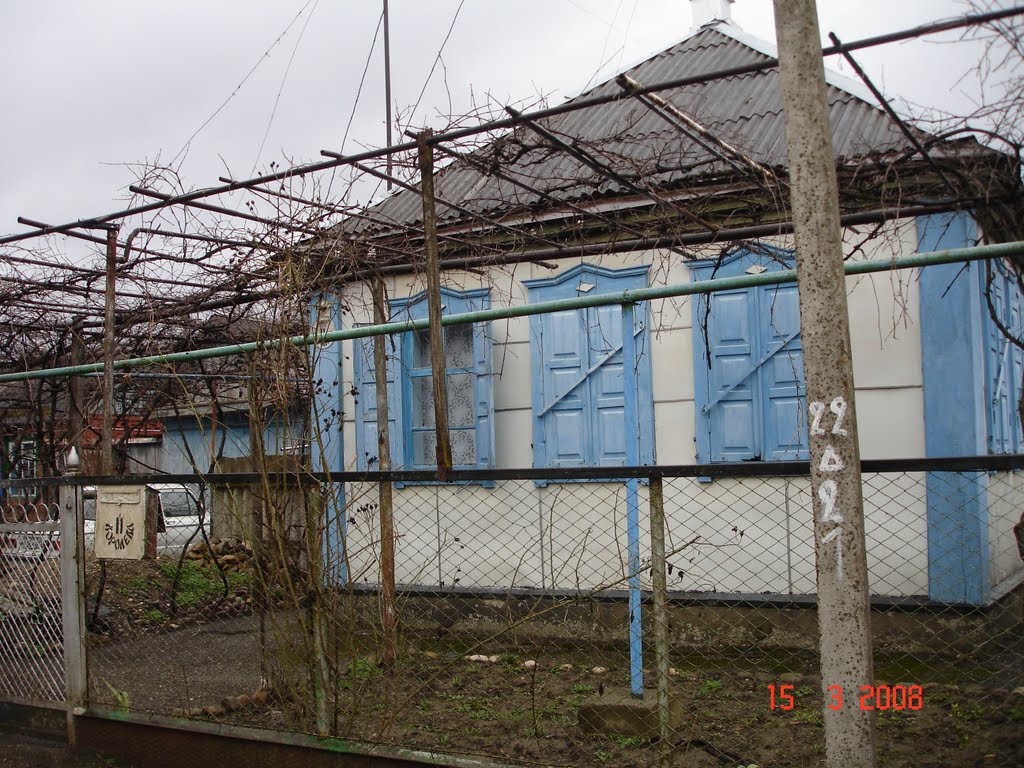 Отчий дом. Королева, 11