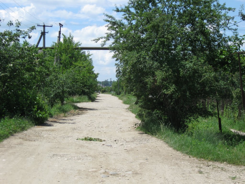гравейка