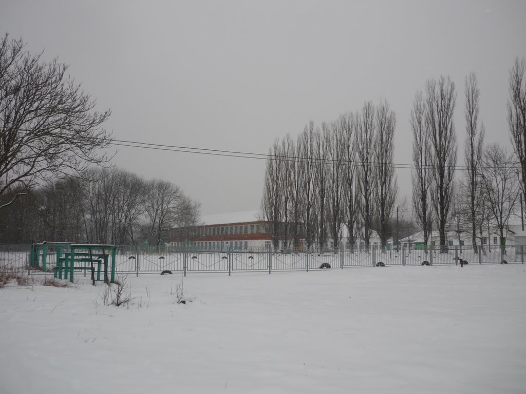 СШ№3,Тополя,мои тополя...
