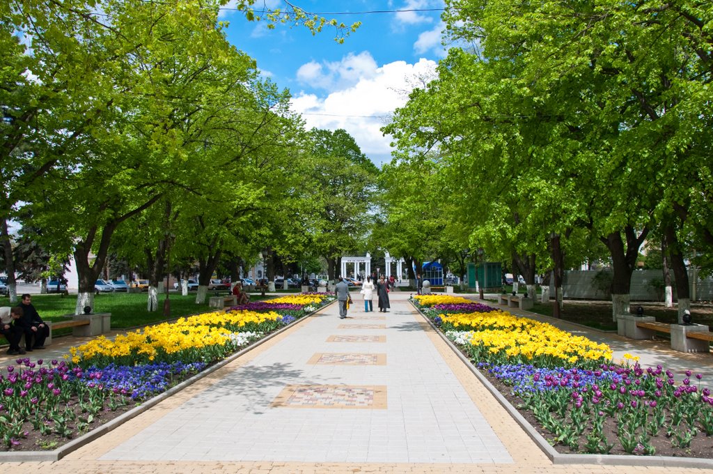 Городской парк