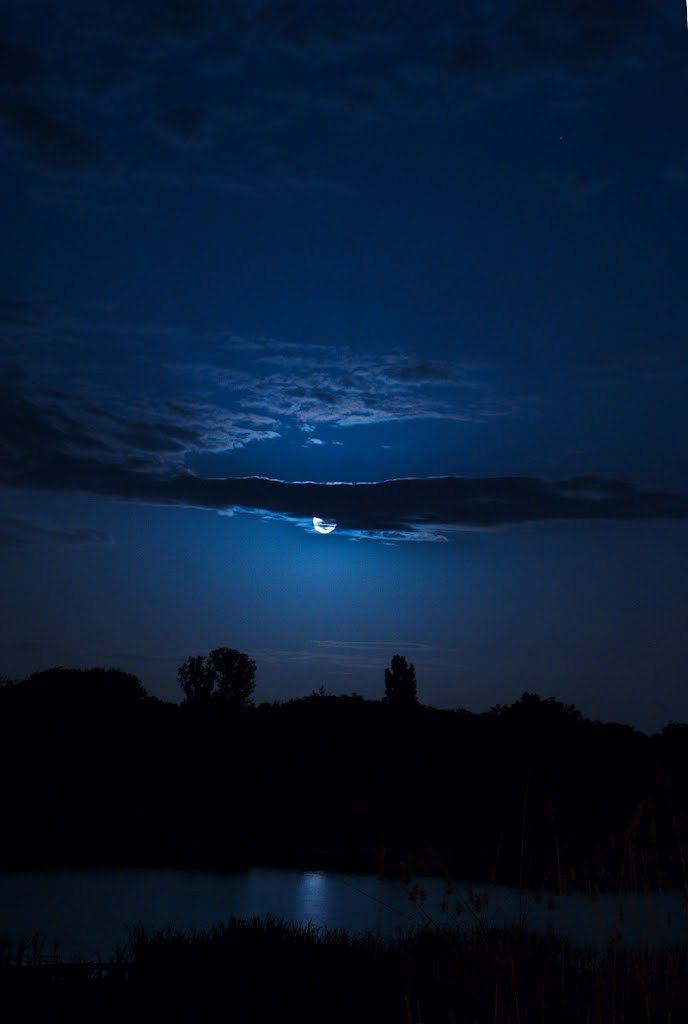 moonlight