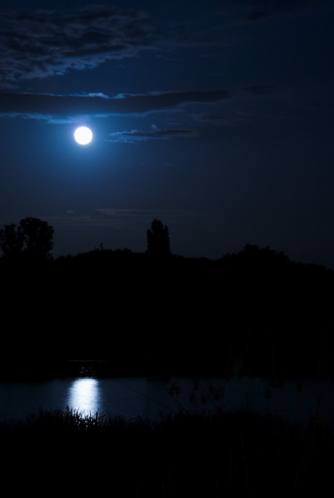 moonlight