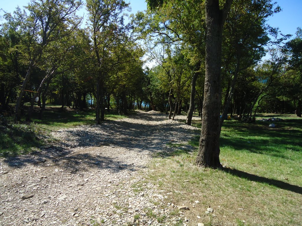 Дорога к морю