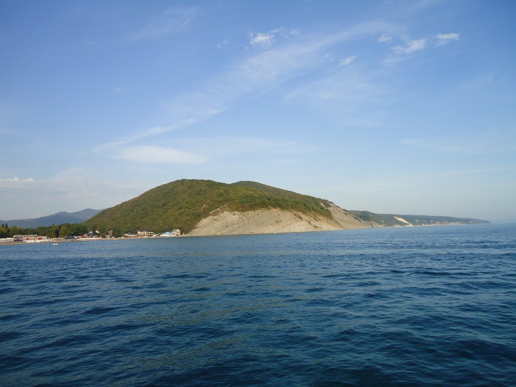 Ёжик с моря