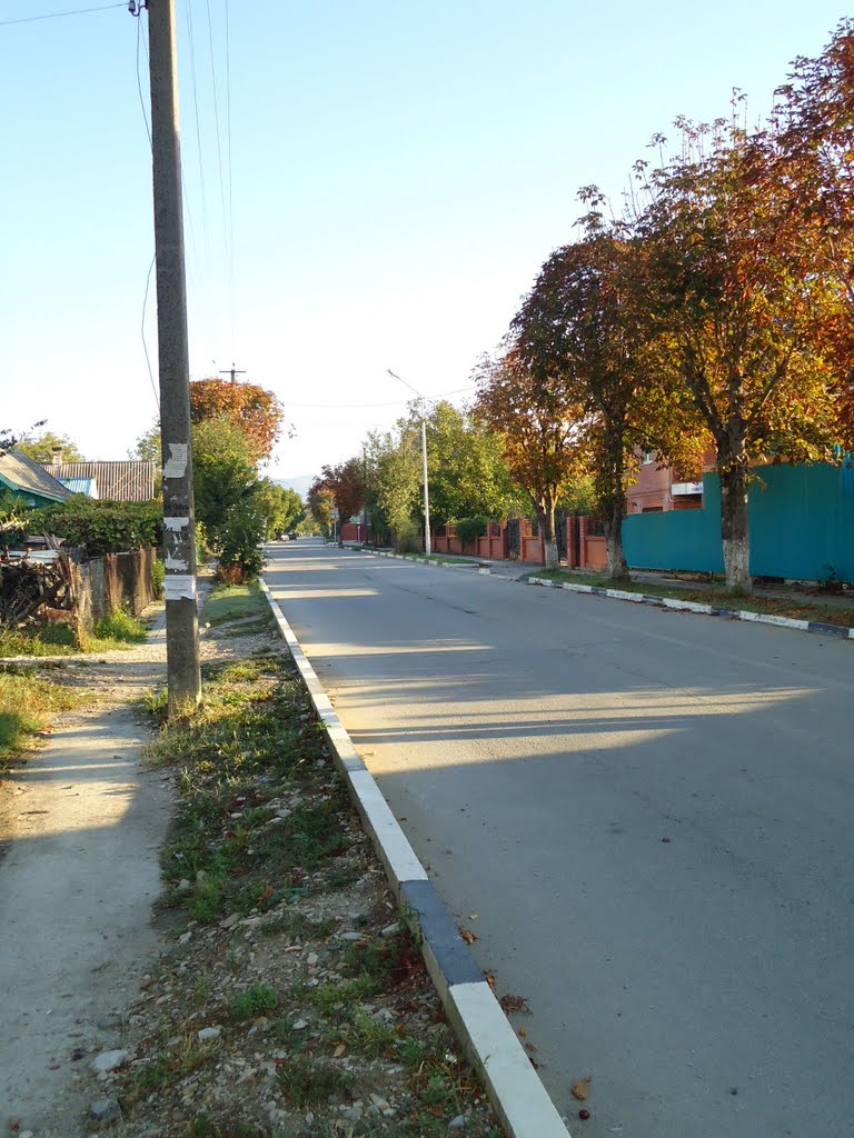 Улица