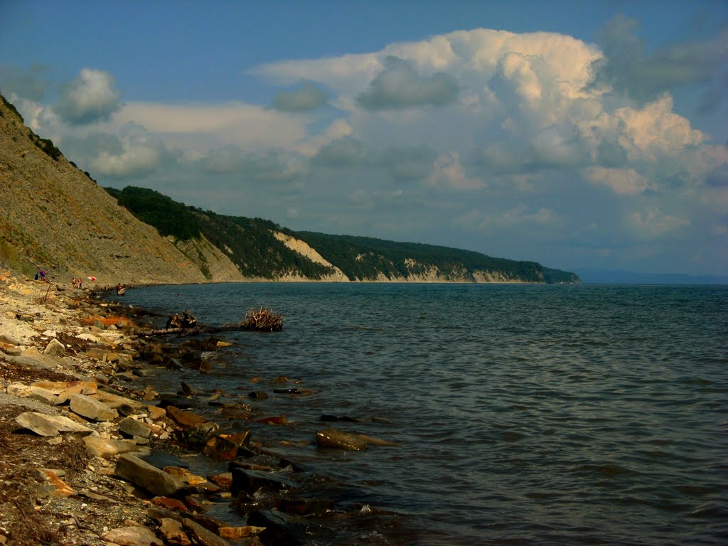 the Black Sea
