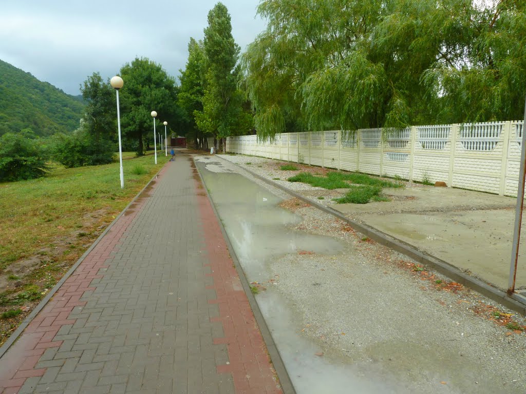 Лужа