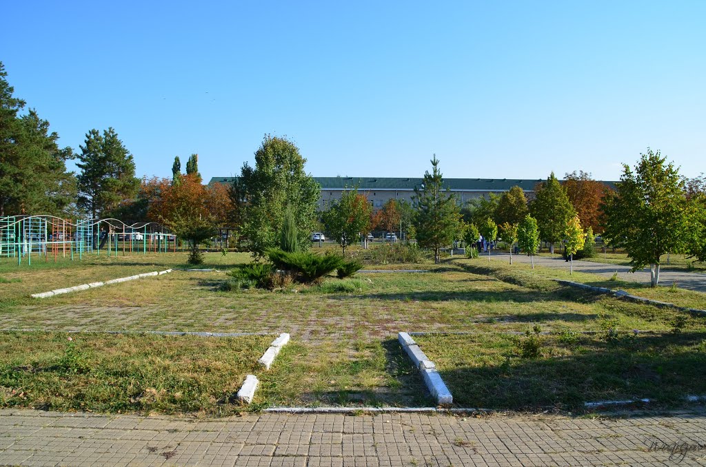 Площадка в школе