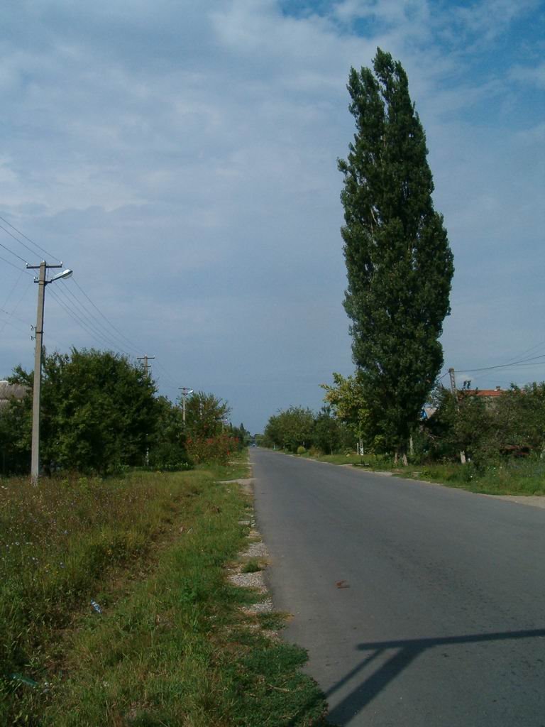 пос. Афипский, ул. Октябрьская (Лето)