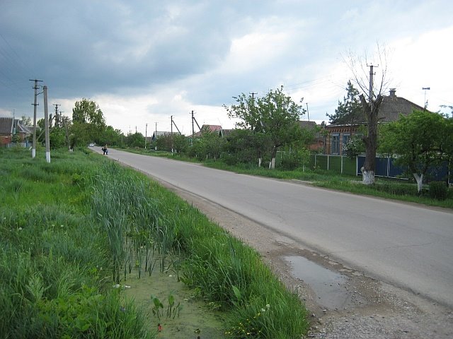 Ул. Ленина