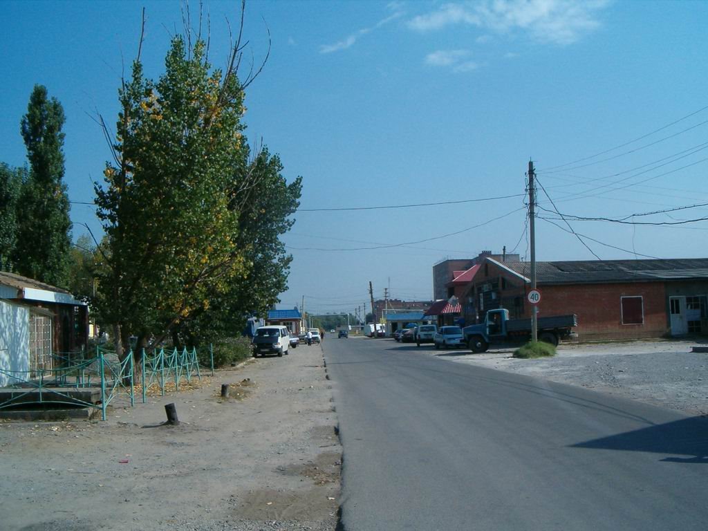 ул. Пушкина (у рынка)