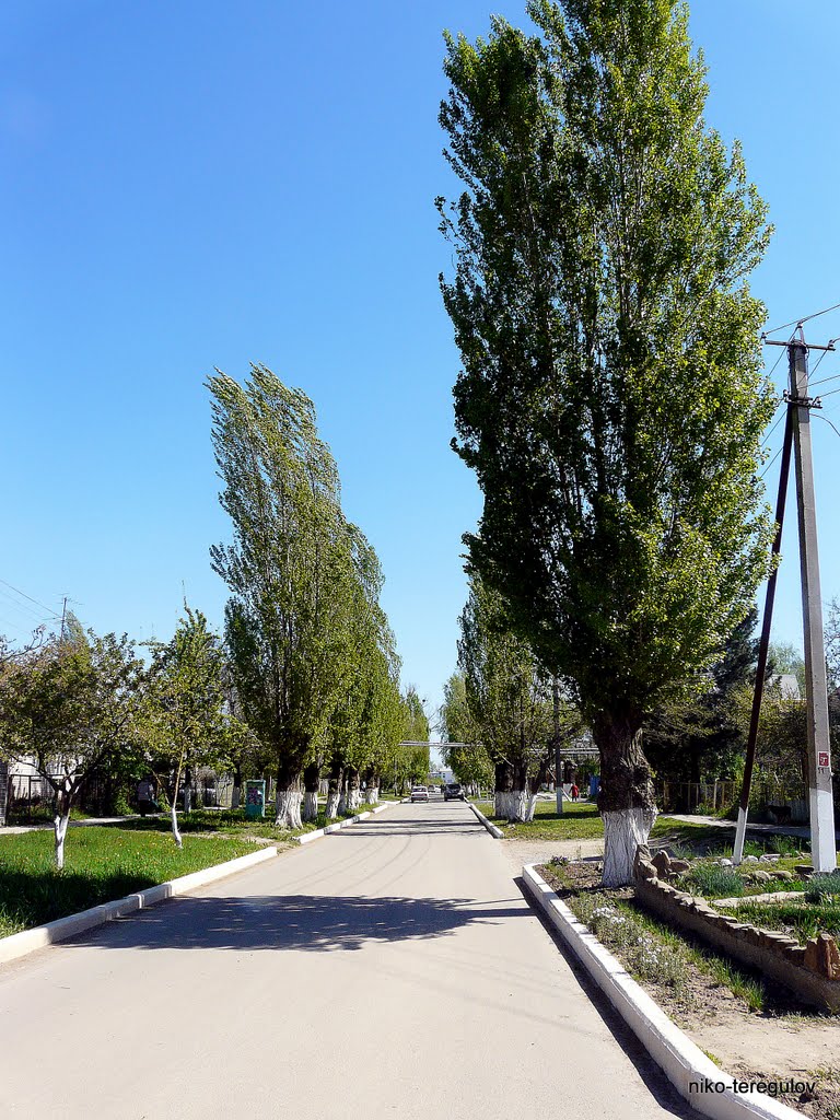 Улица Красная