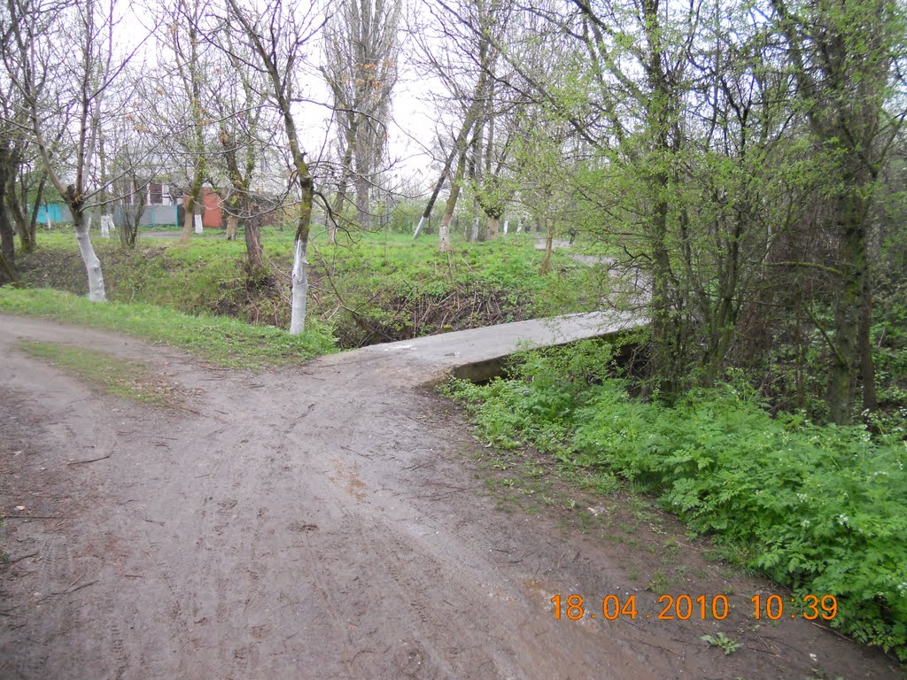 тропинка...