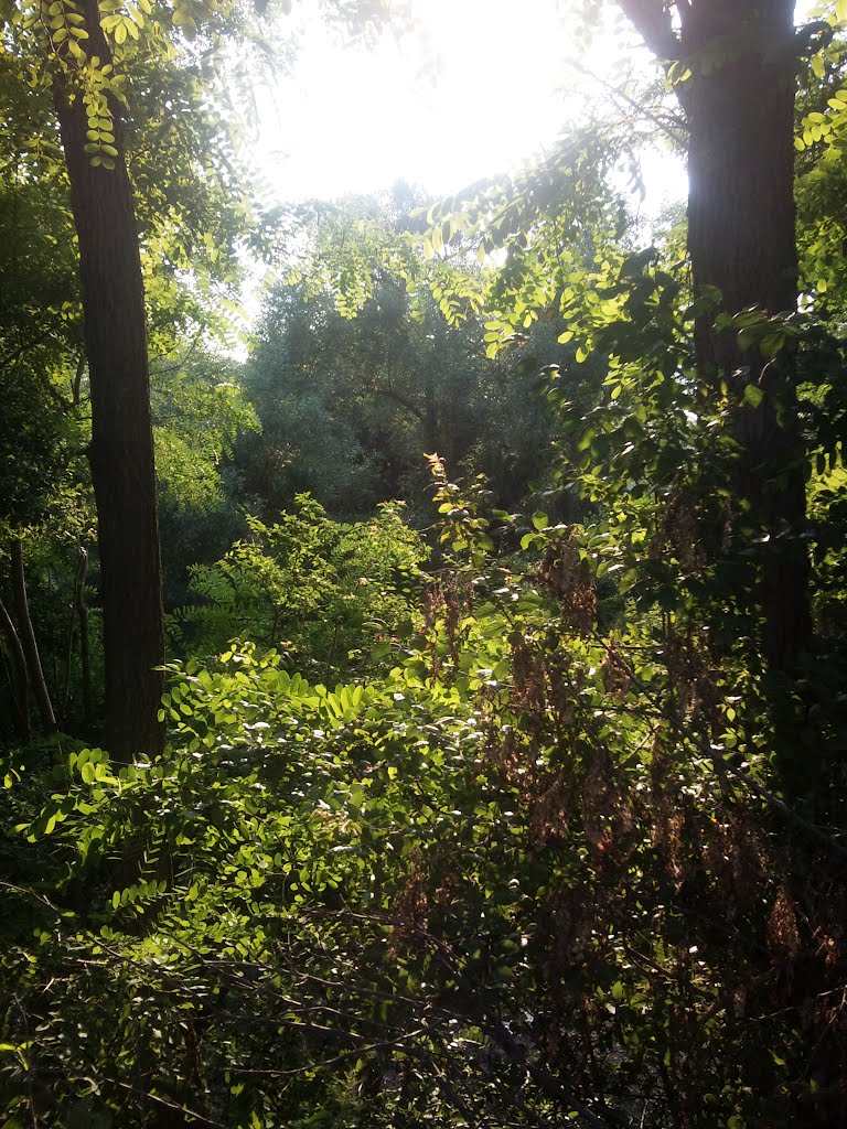 Река Ахтырь пос. Ахтырский