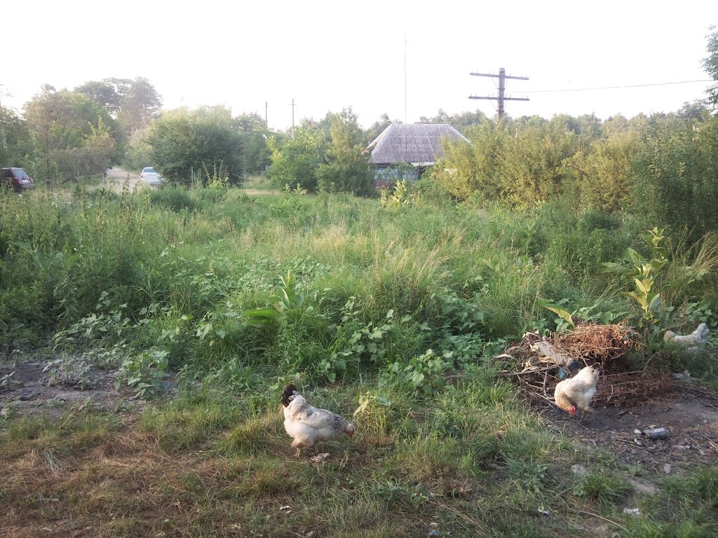 Ул. Пашковская пос. Ахтырский