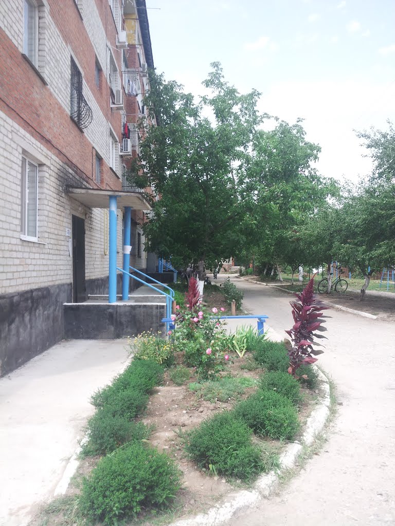 Двор на ул. Горького пос. Ахтырский