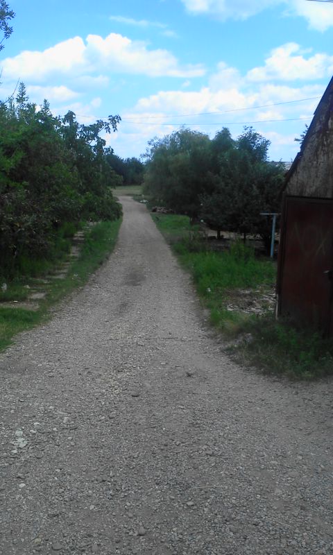 Way to the fields. July 2013. / Дорога на большую поляну. Июль 2013.