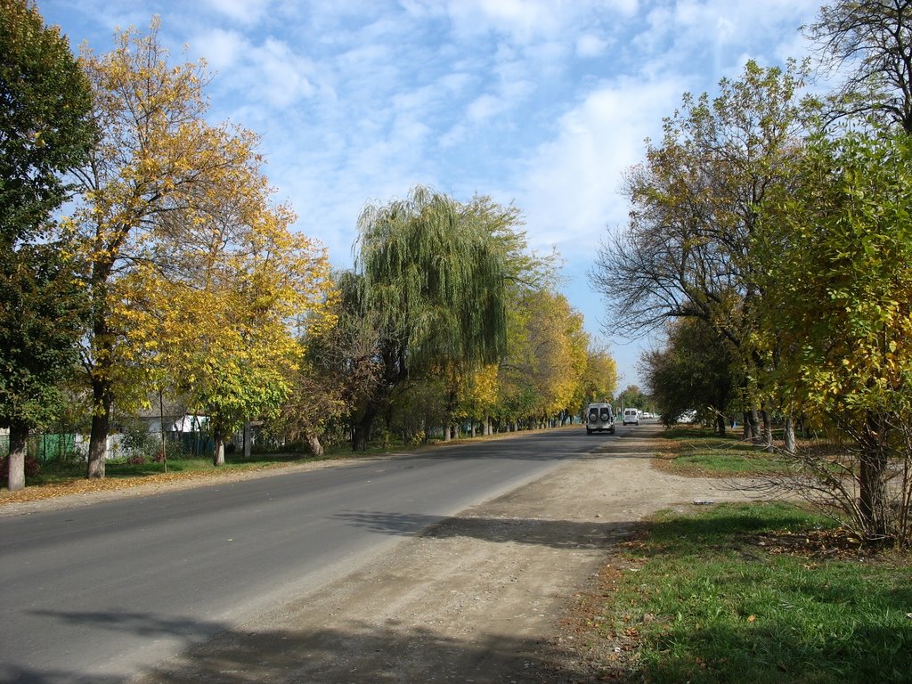 улица Кирова, 25.10.2006.