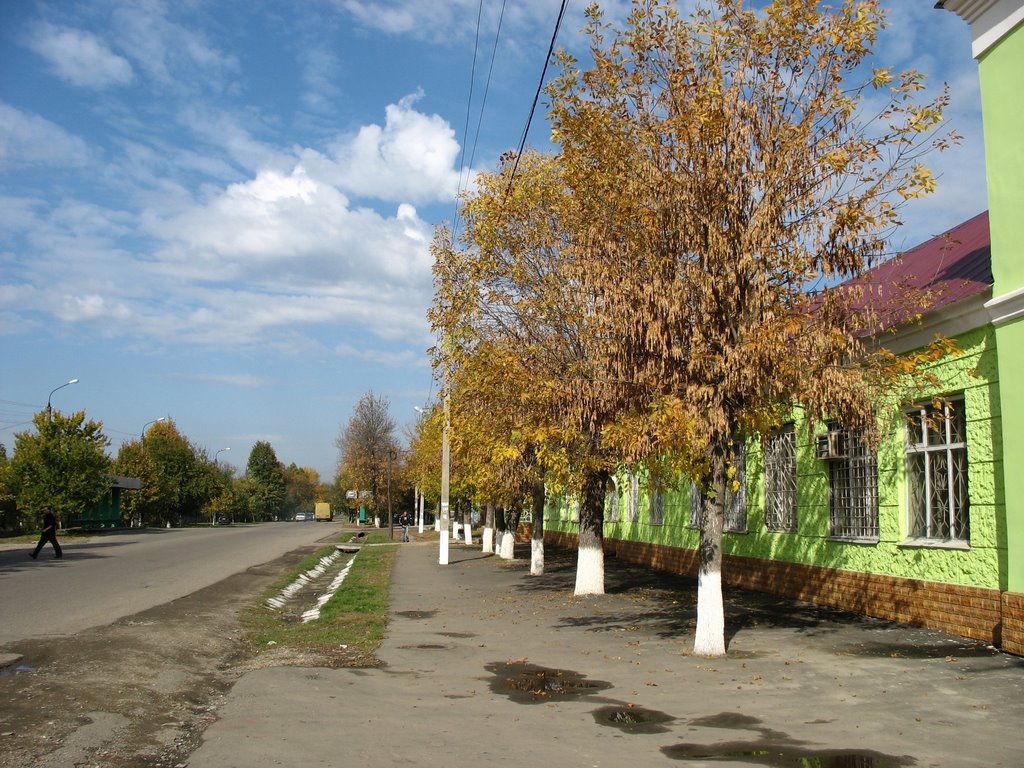 улица Мира, 25.10.2006.