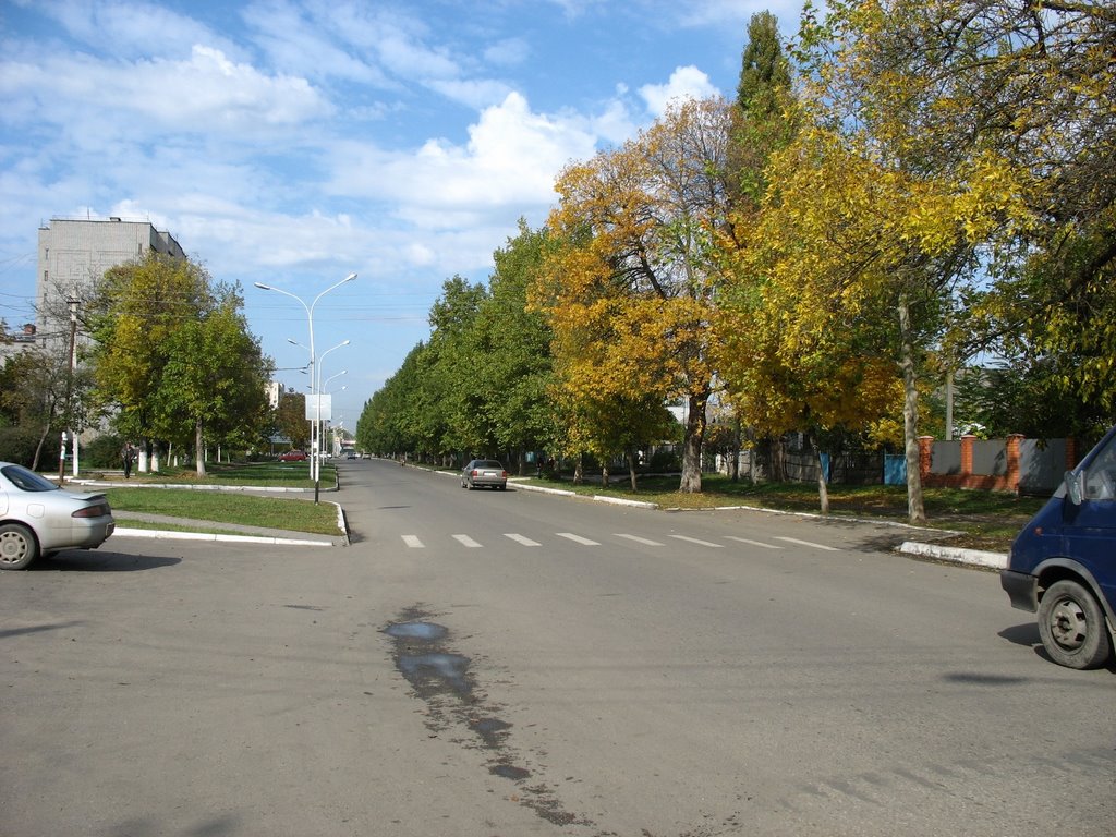 улица Ленина, 25.10.2006.