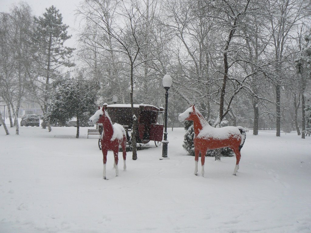 Лошади в парке