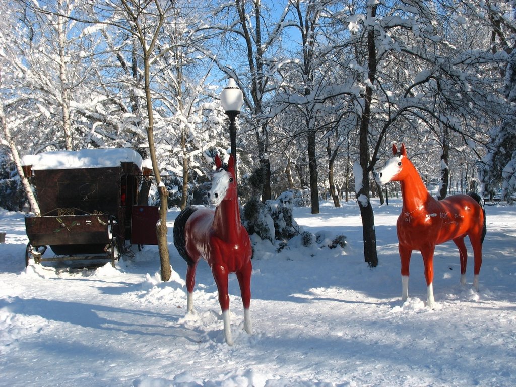 Гор-парк, карета и лошади, 08.01.2009.