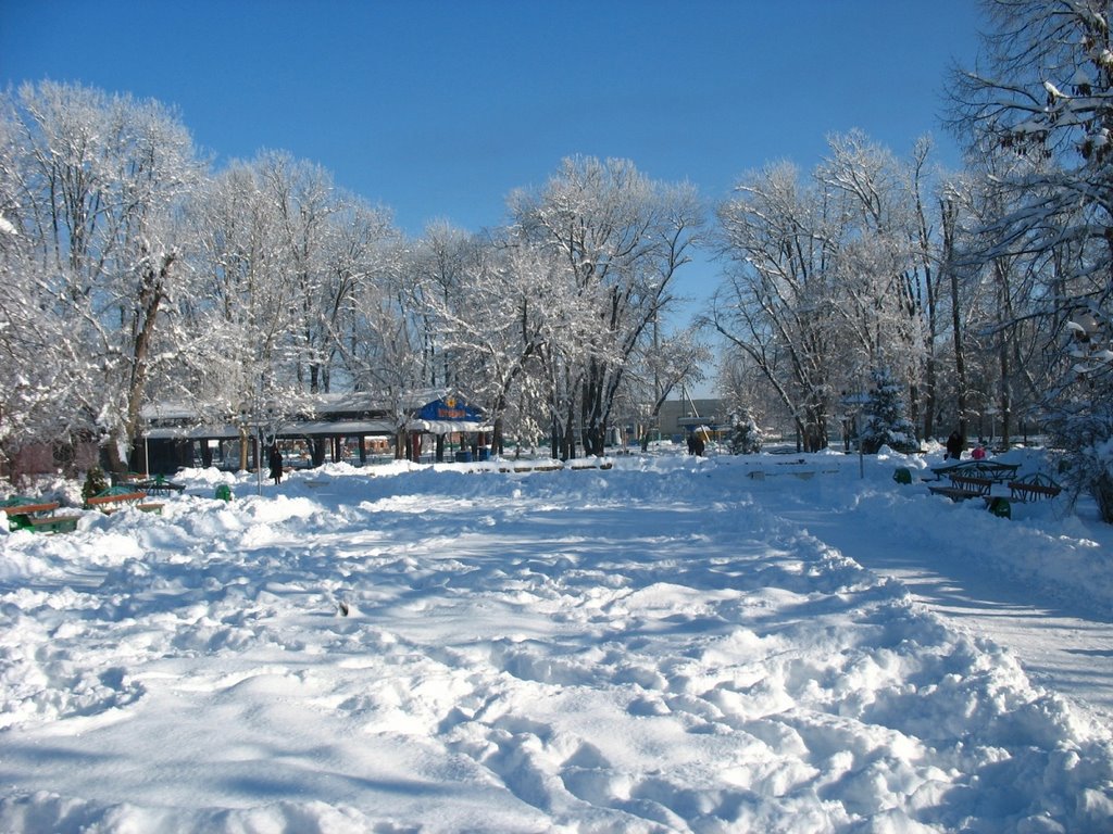 Гор-парк зимой, 08.01.2009.