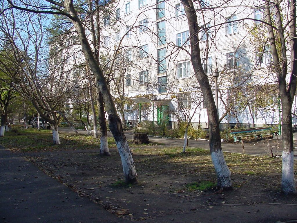 Internazionalaya Street - Belorechensk - Another view