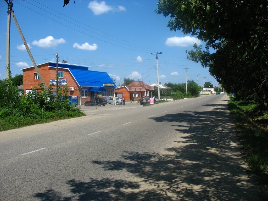 п.Родники, магазин автозапчасти, 03.08.2009.