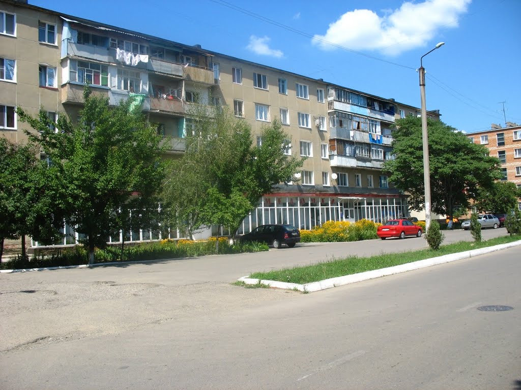 Магазин 1000 мелочей, 03.08.2009.