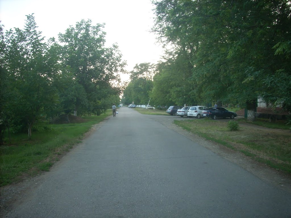 Улица Свердлова