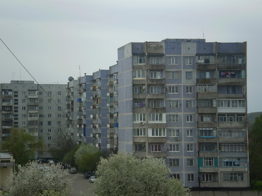 Пятисотка