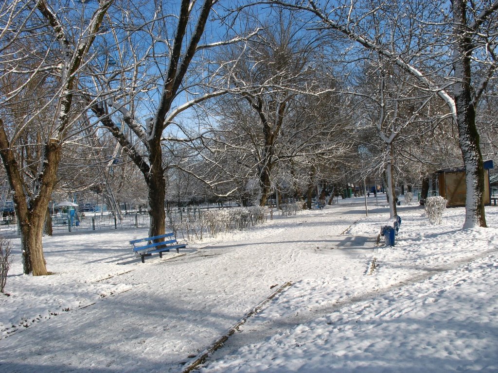 Гор-парк зимой, 29.01.2007.