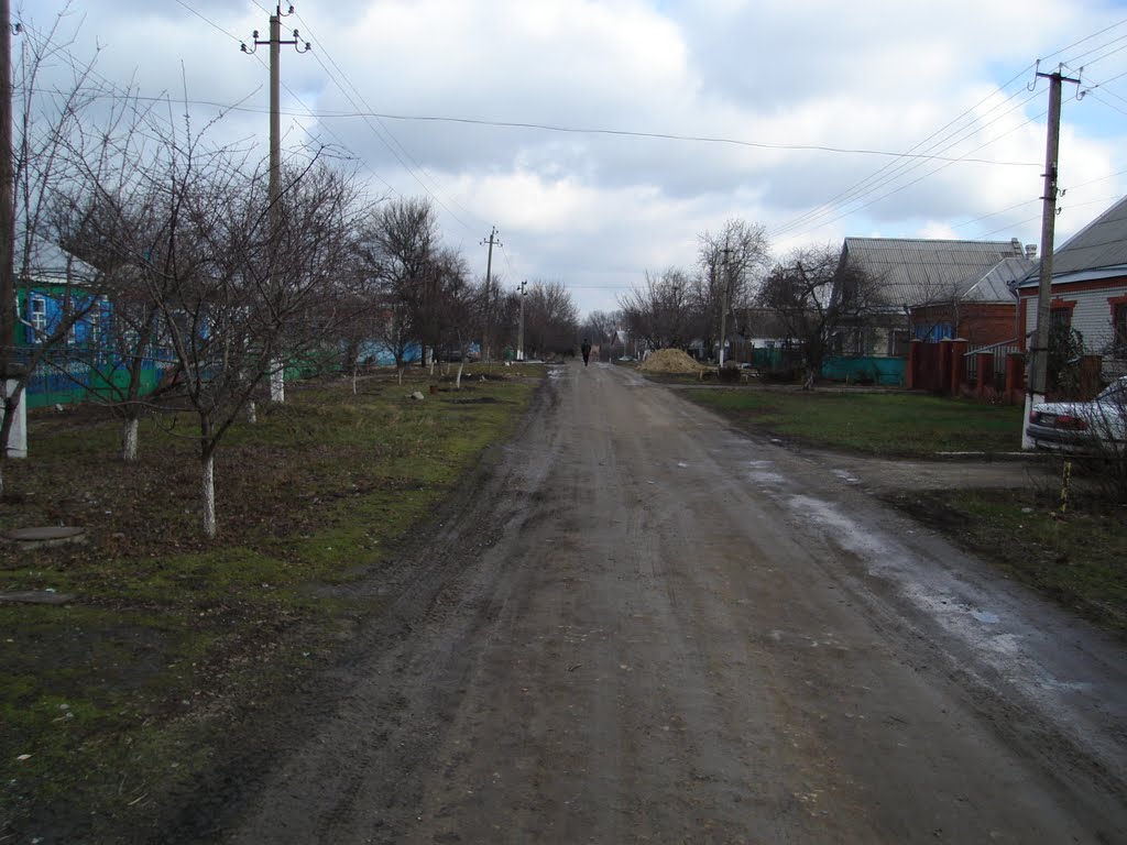 Улица Кооперативная