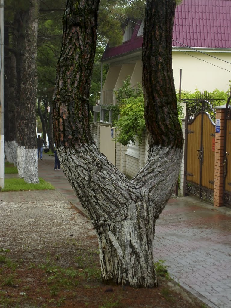 Ну!... Знаете-ли!